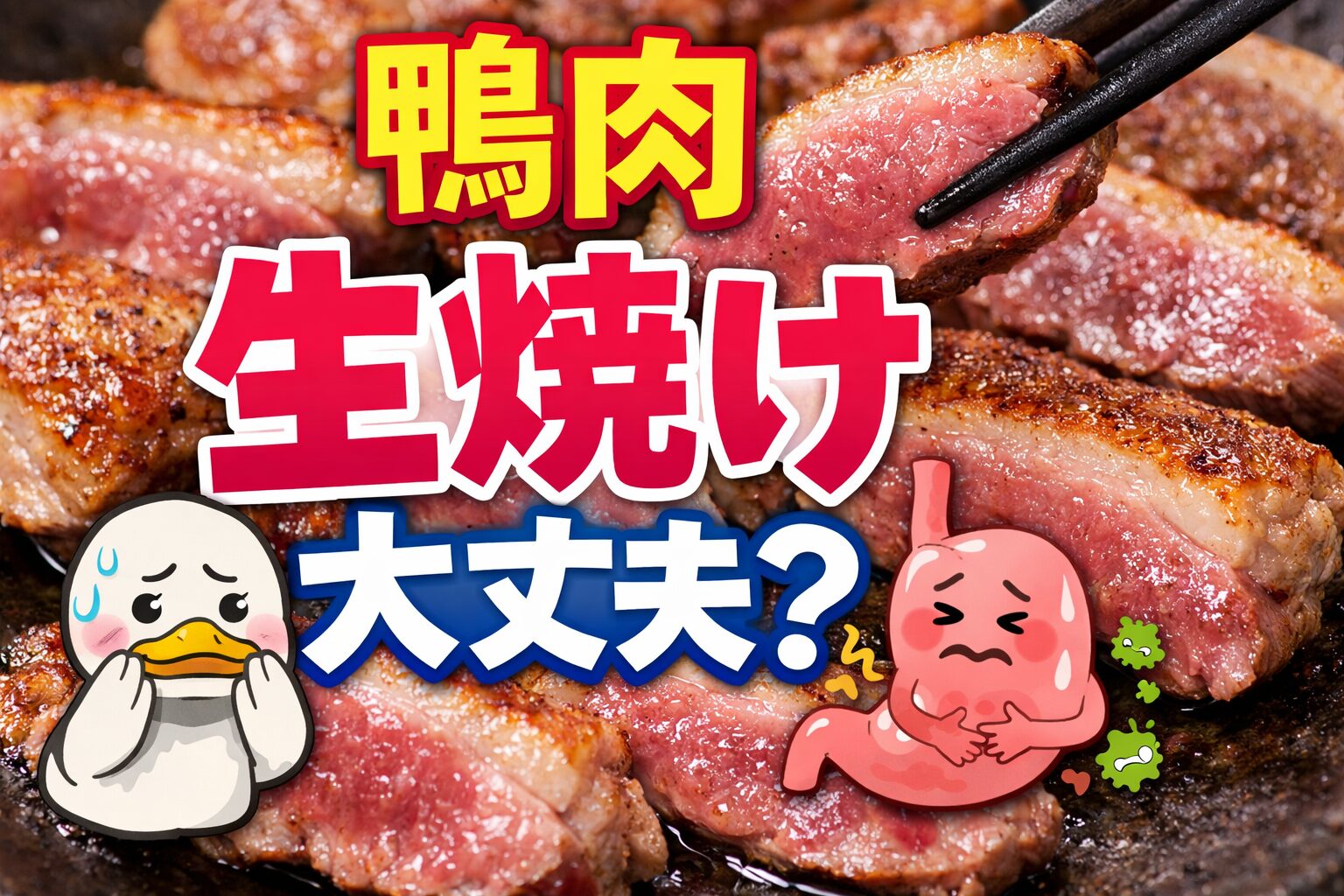 鴨肉生焼け大丈夫